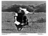 Fullova_ruza_20182